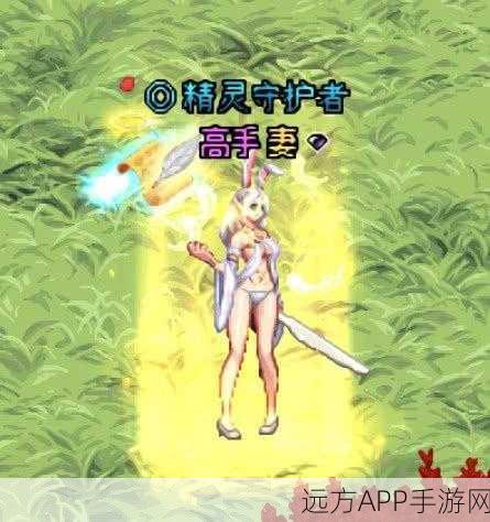 DNF新角色帕拉丁装备指南,打造最强守护者的必备攻略