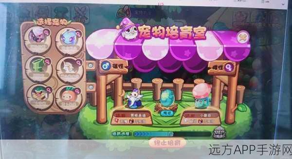 洛克王国宠物蛋孵化全攻略,解锁萌宠新世界的秘密