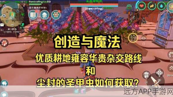 圣甲虫获取攻略，解锁创造与魔法中的珍稀宠物！