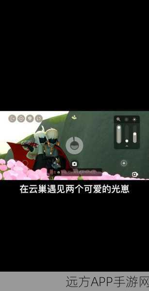 光遇世界深度揭秘,蹲监护人背后的情感纽带与社交艺术