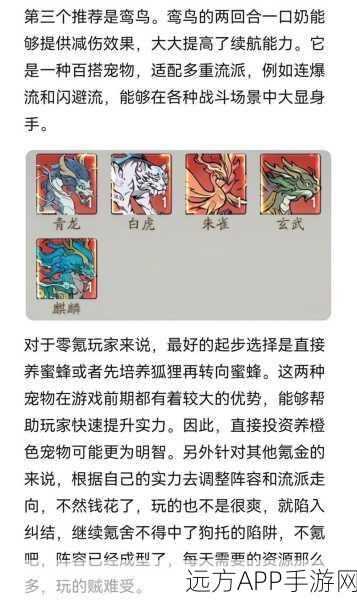 寻道大千灵兽系统深度解析，协同灵兽更换全攻略