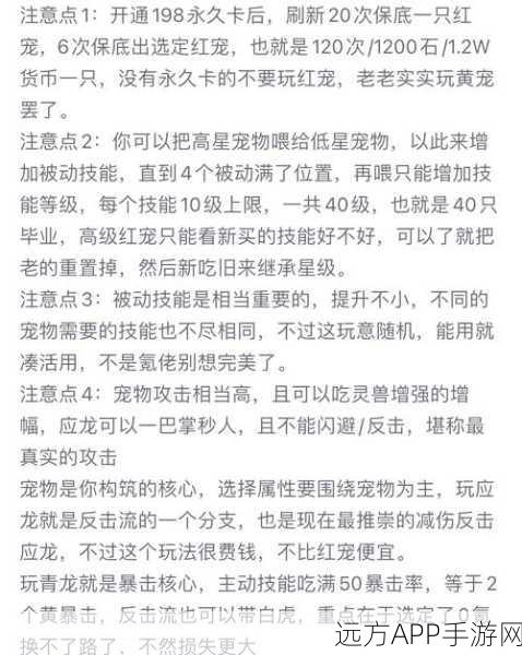 寻道大千灵兽系统深度解析,协同灵兽更换全攻略