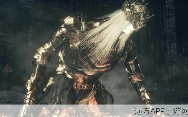 揭秘黑暗之魂3BOSS弱点属性,高效攻略助你征服难关