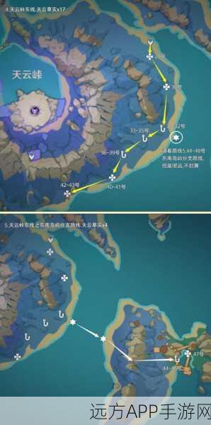 原神天云草实全攻略，揭秘高效采集点，助你资源满载而归