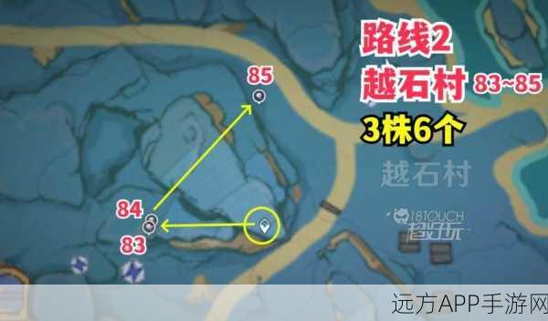 原神天云草实全攻略,揭秘高效采集点,助你资源满载而归