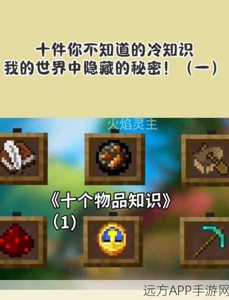 我的世界森林探险指南，揭秘游戏中多样化的自然秘境与隐藏宝藏