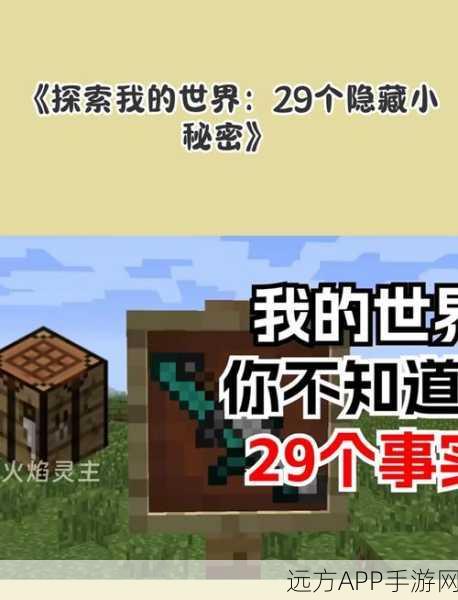 我的世界森林探险指南,揭秘游戏中多样化的自然秘境与隐藏宝藏