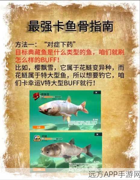 钓鱼大师秘籍，解锁欢乐钓鱼大师隐藏奖励与竞技攻略