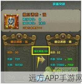 太极熊猫战士装备指南，新手必备装备及获取攻略