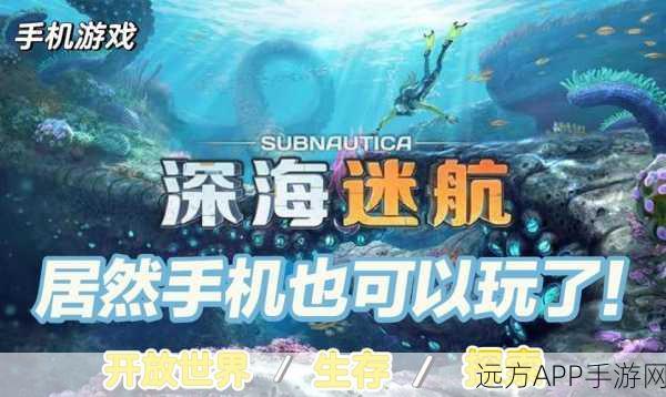 桑尼号启航，沉浸式冒险手游下载，探索未知海域的极致体验