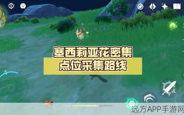 原神塞西莉亚花全地图刷新点揭秘，高效采集攻略