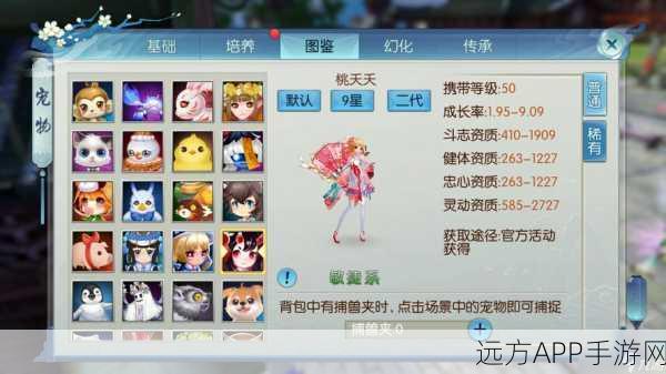 诛仙手游长生界，揭秘珍稀宠物捕捉坐标与攻略秘籍
