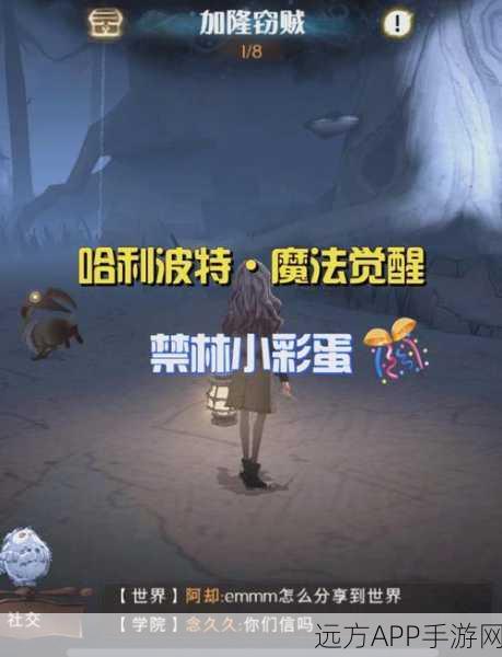 哈利波特手游，禁林边缘深度攻略，解锁魔法觉醒隐藏秘密