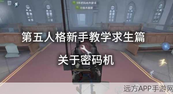湖景村迷雾解锁，第五人格电机与解码机终极布局揭秘