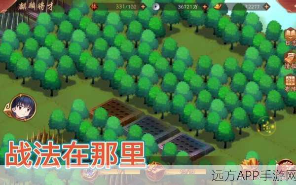揭秘少年三国志2麒麟将才挑战,最后两宝箱位置全攻略