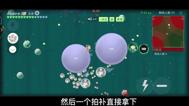 球球大作战,揭秘勇者徽章的非凡价值与实战应用