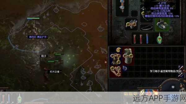 流放之路高手必备，UI缩放与界面优化技巧全解析