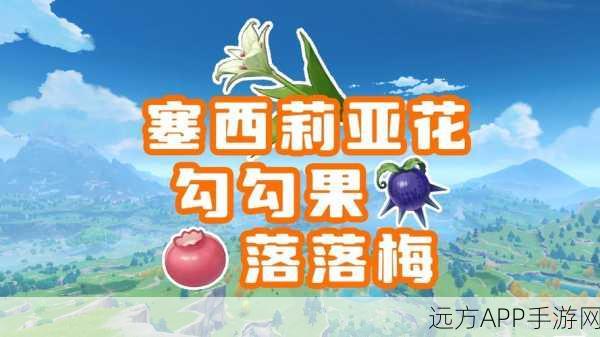 原神秘境追踪，勾勾果采集大赛全攻略与技巧揭秘