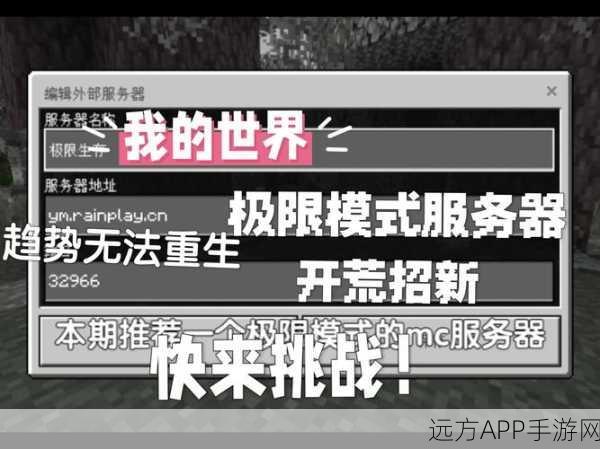 我的世界哪个平台最优？全面解析与玩家心得