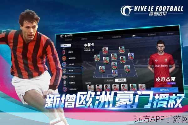 绿茵信仰新手必看,高效萌新入坑阵型攻略,解锁制胜秘籍!