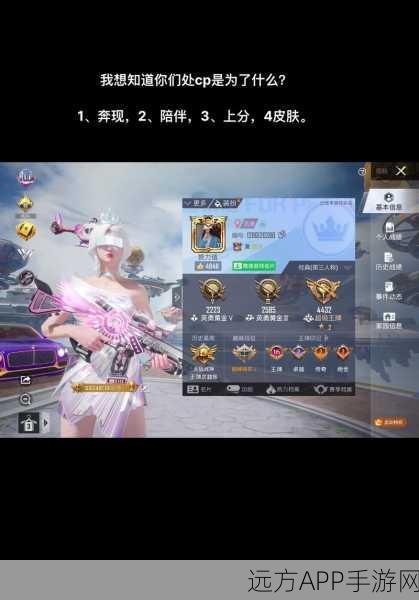 和平精英兵团创建全攻略,打造你的专属战斗联盟