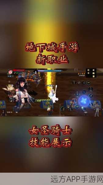 DNF女圣骑士100级加点终极指南,技能分配与实战策略全揭秘