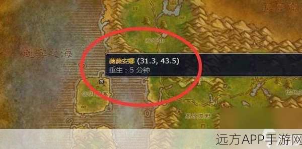 魔兽世界手游玩家必看，钓月狗平台权威人口查询数据揭秘