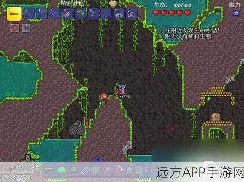 泰拉瑞亚探险必备，揭秘猛爪手套的神奇作用与实战技巧