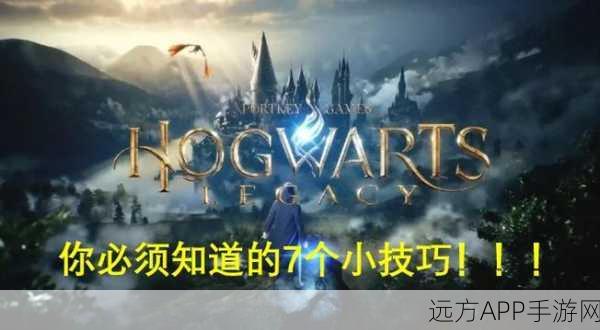 霍格沃茨之遗，揭秘眼睛宝箱的开启奥秘与技巧攻略