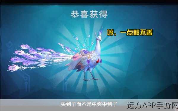 孔雀之灵，魔法之旅，白灵孔雀获取全攻略
