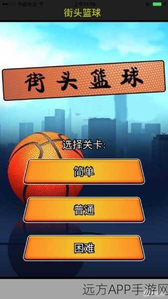 街头篮球仓库密码重置指南,安全升级,畅享比赛新体验!