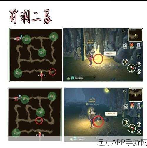 小森生活甲虫对战全攻略,深度解析对战技巧与必胜策略