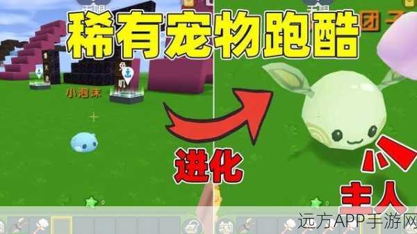 迷你世界宠物小泡沫取消跟随全攻略，轻松管理你的游戏伙伴