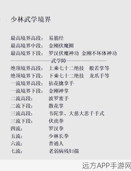 剑侠情缘2剑歌行，少林武魂技能加点深度攻略与实战技巧