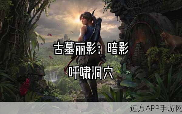 古墓丽影探险秘籍，揭秘隐藏信息的搜寻技巧