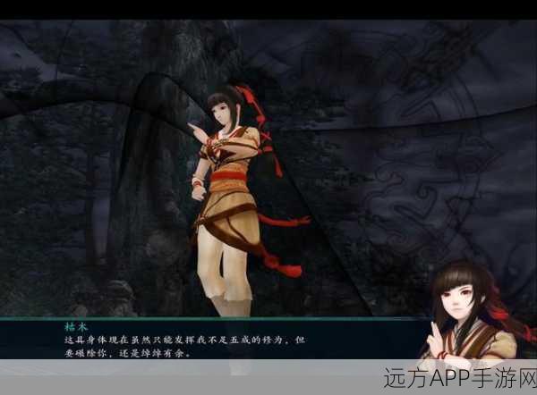 仙剑5前传角色深度剖析,资源管理与实战必胜策略揭秘