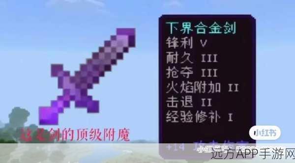 我的世界贤者祝福，揭秘神秘附魔之力