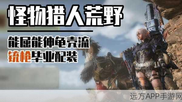 怪物猎人P3攻略，下位自防铳套装完美搭配指南