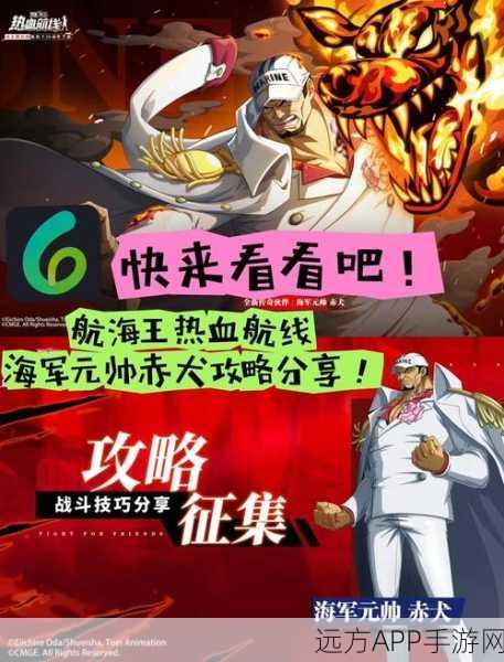 航海王热血航线,零氪玩家的全面攻略与深度解析