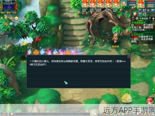 梦幻西游WZ副本全攻略，勇闯奇幻西游，智取秘境宝藏