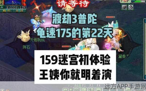 梦幻西游渡劫挑战全攻略,揭秘五场激战,解锁终极试炼奥秘