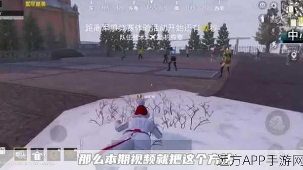 和平精英极寒模式深度解析，全面攻略助你体温无忧，称霸冰雪战场