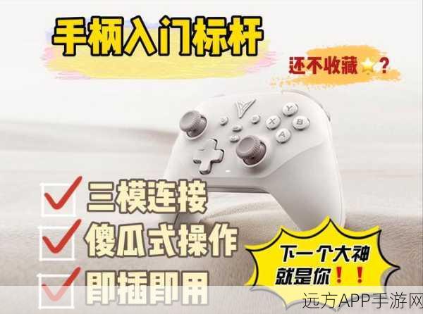 王者荣耀主播新宠,手柄操作,揭秘KPL赛场背后的秘密武器