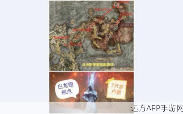 艾尔登法环深度揭秘，盖利德白龙神秘身世与战斗攻略