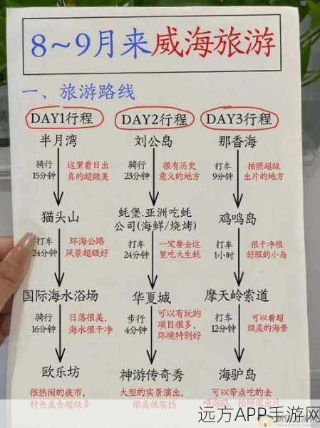 太极熊猫符文系统全攻略，深度剖析优劣选择与高效搭配秘籍