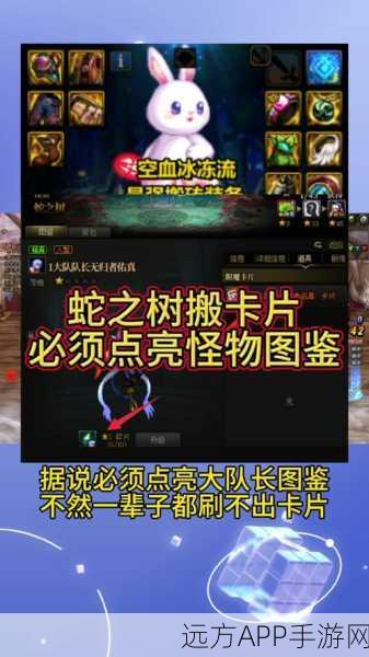DNF四龙卡片深度剖析，揭秘交易市场的真正王者