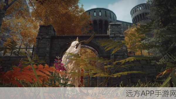上古卷轴5，天际全屏设置攻略，畅享沉浸式游戏体验