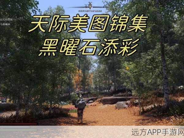上古卷轴5,天际全屏设置攻略,畅享沉浸式游戏体验