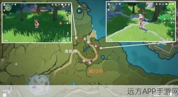 原神玩家必看！小灯草高效采集路线全攻略，助你快速升级