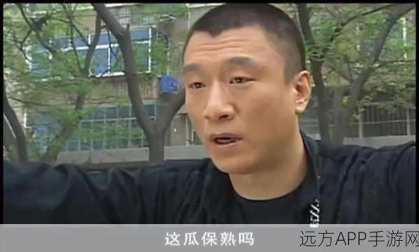 华强买瓜大冒险,休闲闯关新体验,挑战你的智慧与反应!